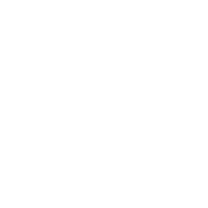data-icon