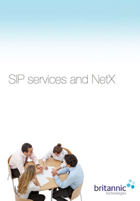 SIP Services and netX Brochure